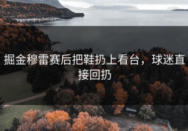掘金穆雷赛后把鞋扔上看台，球迷直接回扔