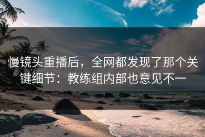 慢镜头重播后，全网都发现了那个关键细节：教练组内部也意见不一