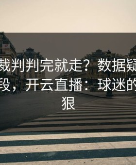 美洲杯裁判判完就走？数据疑点背后还有一段，开云直播：球迷的截图太狠