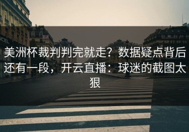 美洲杯裁判判完就走？数据疑点背后还有一段，开云直播：球迷的截图太狠
