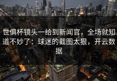 世俱杯镜头一给到新闻官，全场就知道不妙了：球迷的截图太狠，开云数据
