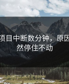 奥运会项目中断数分钟，原因竟是突然停住不动
