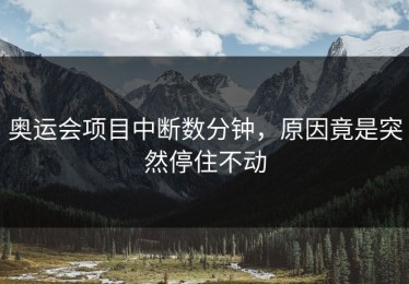 奥运会项目中断数分钟，原因竟是突然停住不动